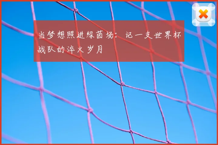 当梦想照进绿茵场：记一支世界杯战队的淬火岁月
