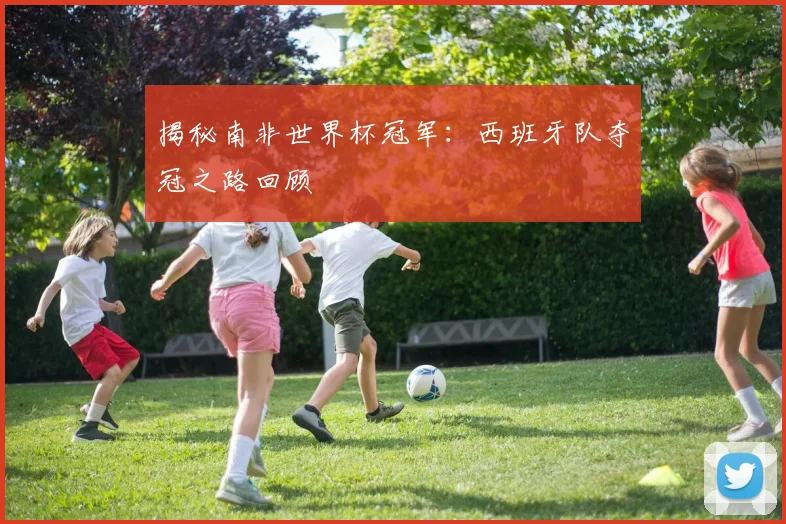 揭秘南非世界杯冠军：西班牙队夺冠之路回顾