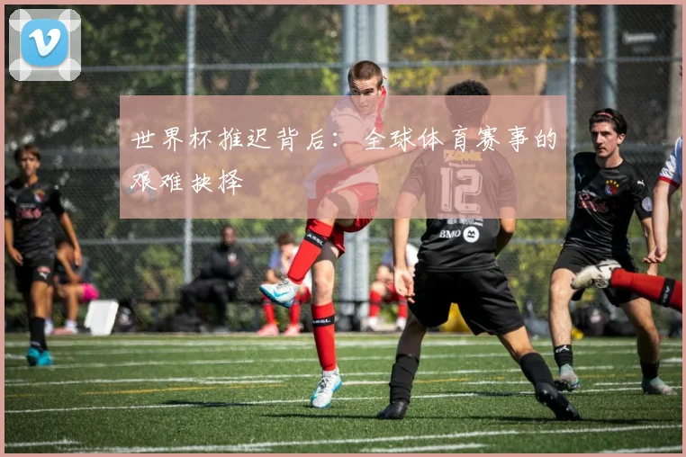 世界杯推迟背后：全球体育赛事的艰难抉择