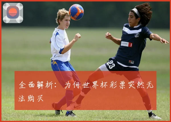 全面解析：为何世界杯彩票突然无法购买