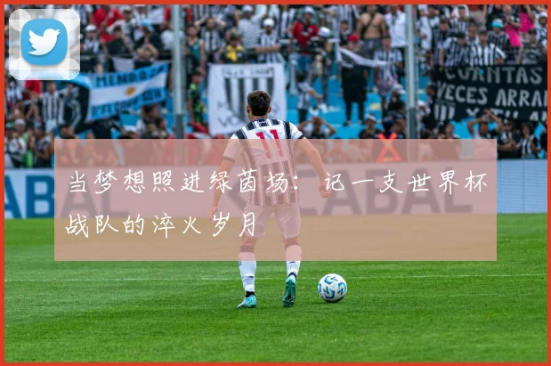 当梦想照进绿茵场：记一支世界杯战队的淬火岁月